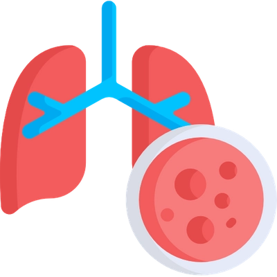 lung graphic